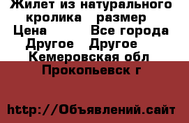 Жилет из натурального кролика,44размер › Цена ­ 500 - Все города Другое » Другое   . Кемеровская обл.,Прокопьевск г.